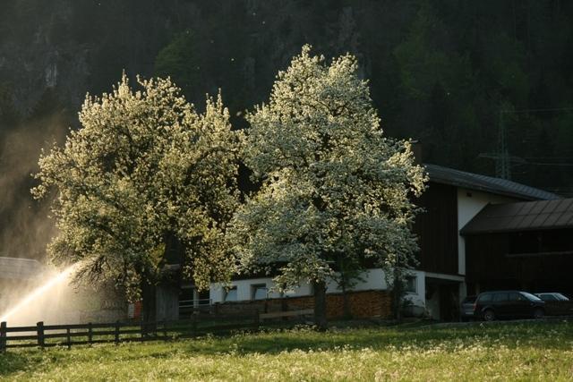 Bauernhof Gantner Villa Wald am Arlberg Exterior photo